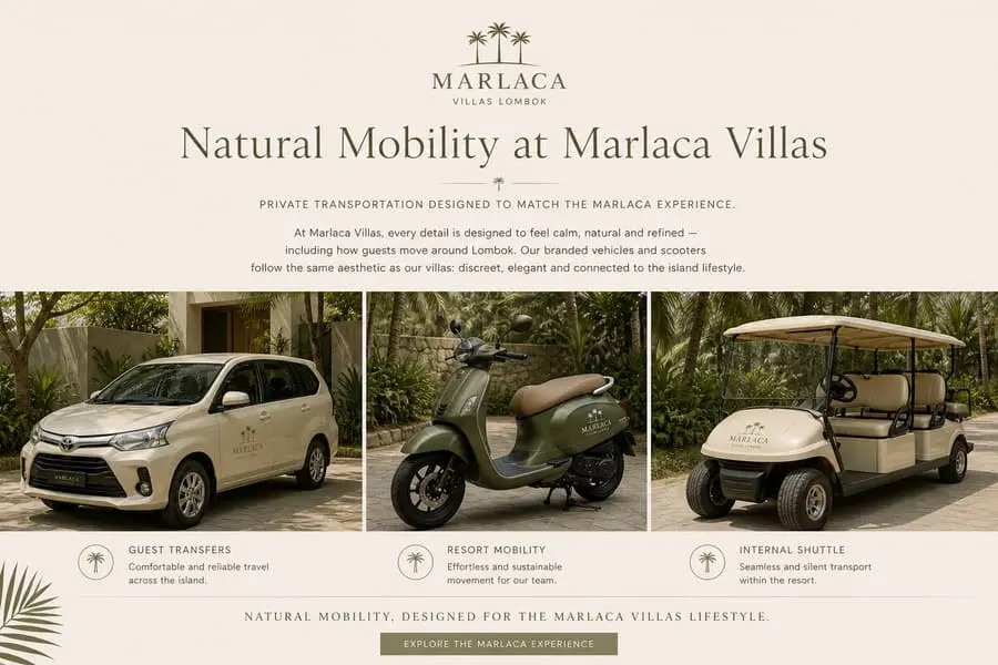 Resort Fleet